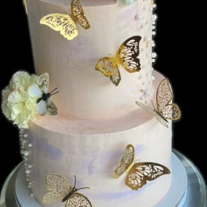 Two Tier Butterfly cake
